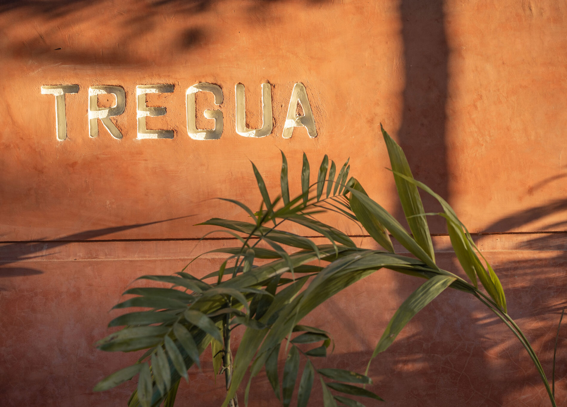 TREGUA-64-EDIT